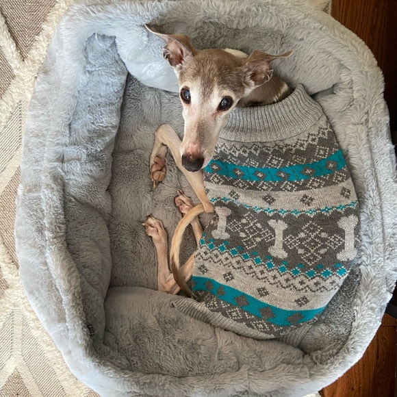 Medium Dog Sweaters - Picture 4 of 6